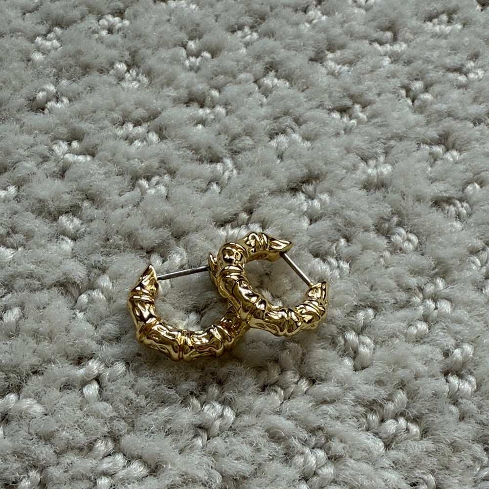 Chic Gold Textured Earrings